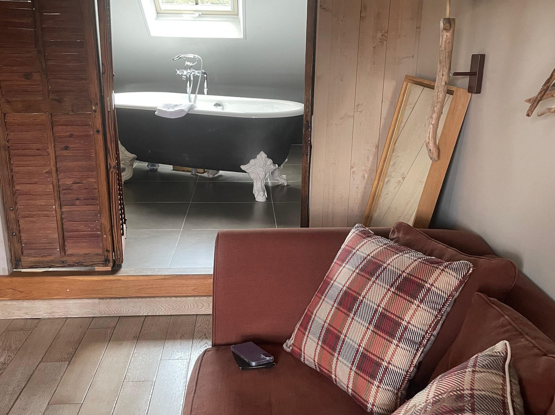 Hôtel Le Grand Cerf主图