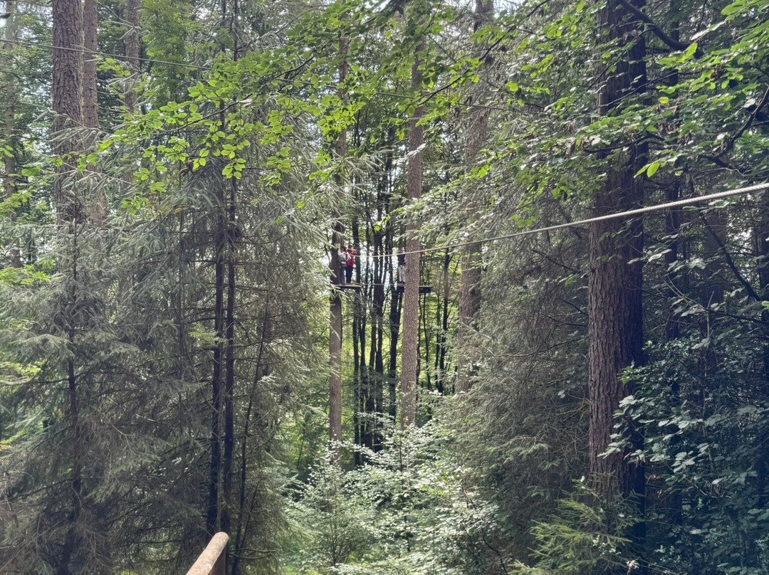 Go Ape-Aberfoyle必去景点