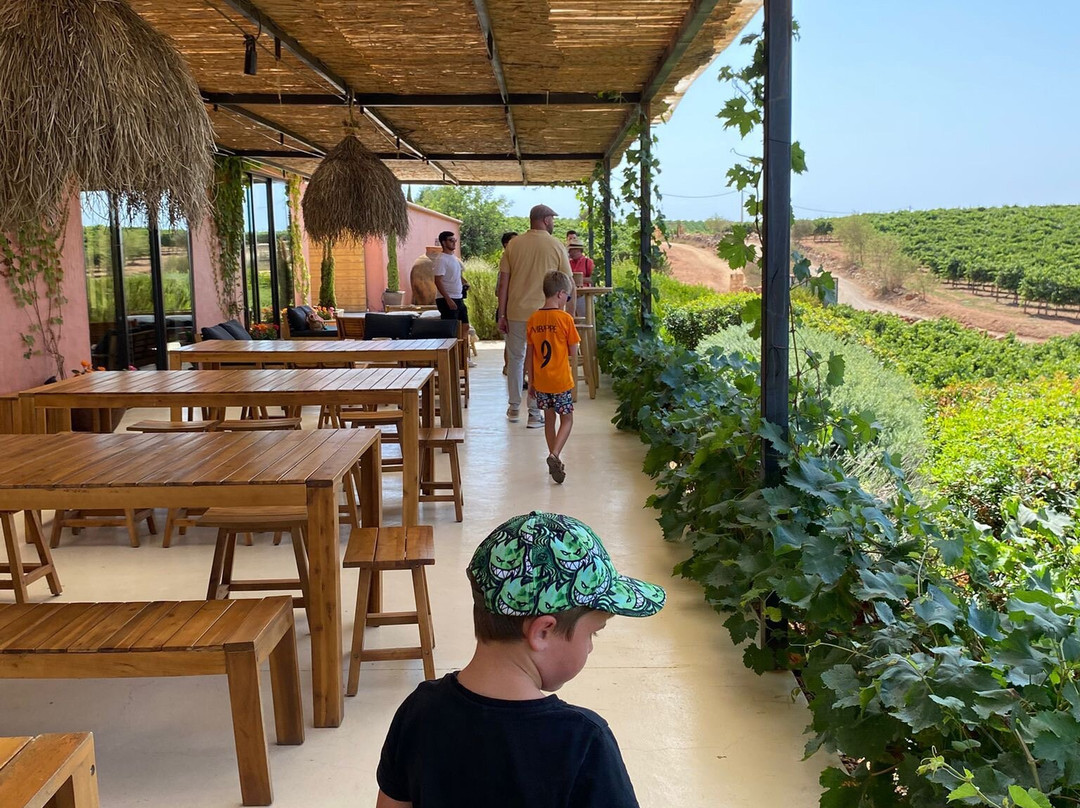 Arvad-Estombar必去景点