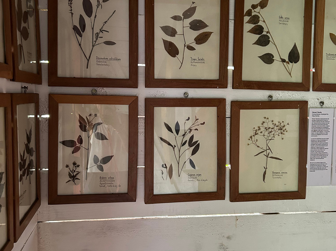 Musée Lovako-Ampangorinana必去景点