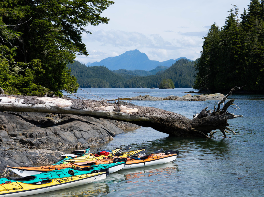 Kingfisher Wilderness Adventures-Port McNeill必去景点