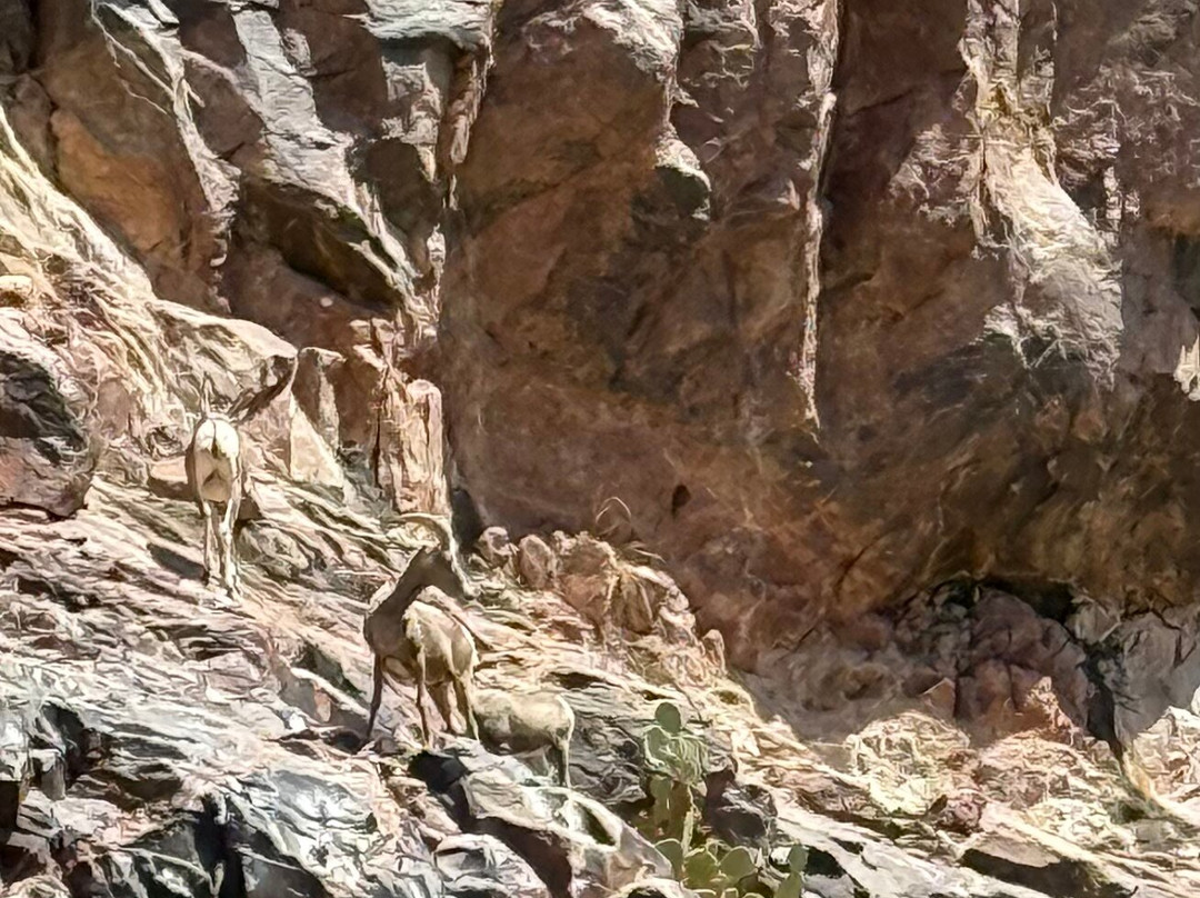 Hualapai River Runners-皮奇斯普林斯必去景点