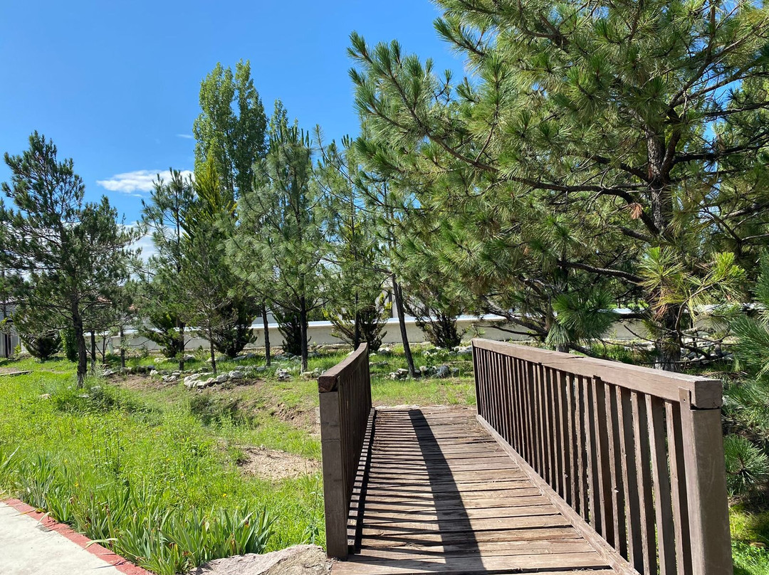 Quinta Mision Hotel主图