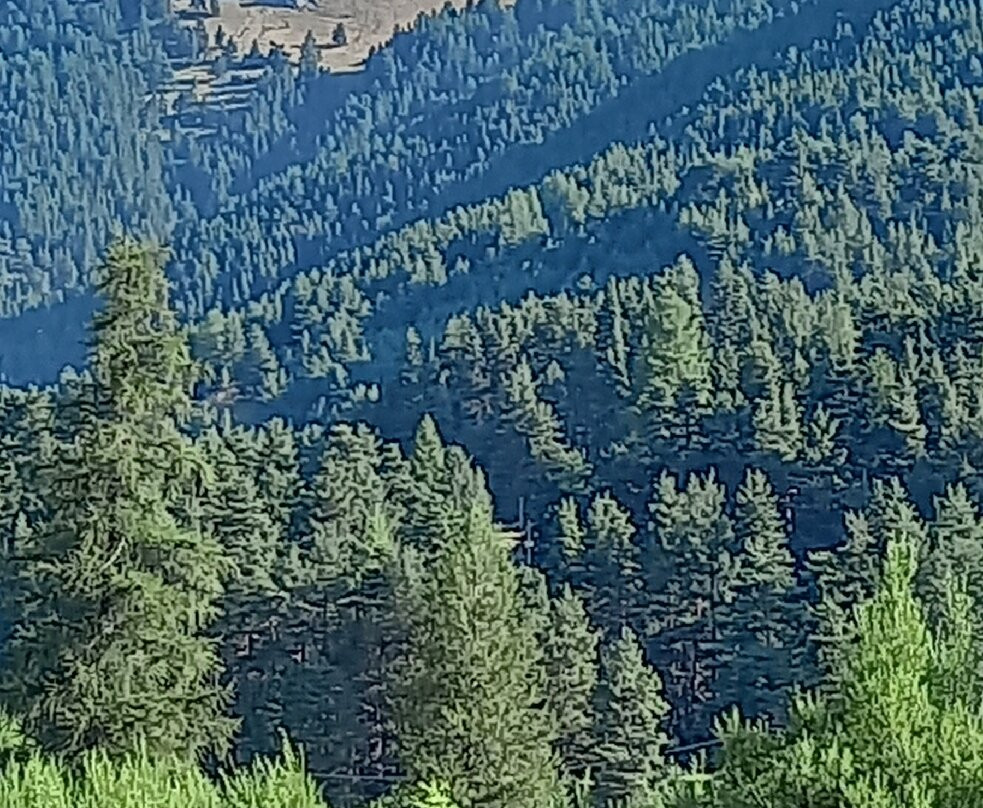 Auberge Val Casterino主图