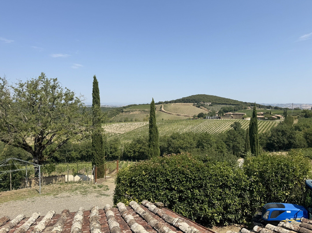 Casanuova delle Cerbaie-蒙塔尔奇诺必去景点