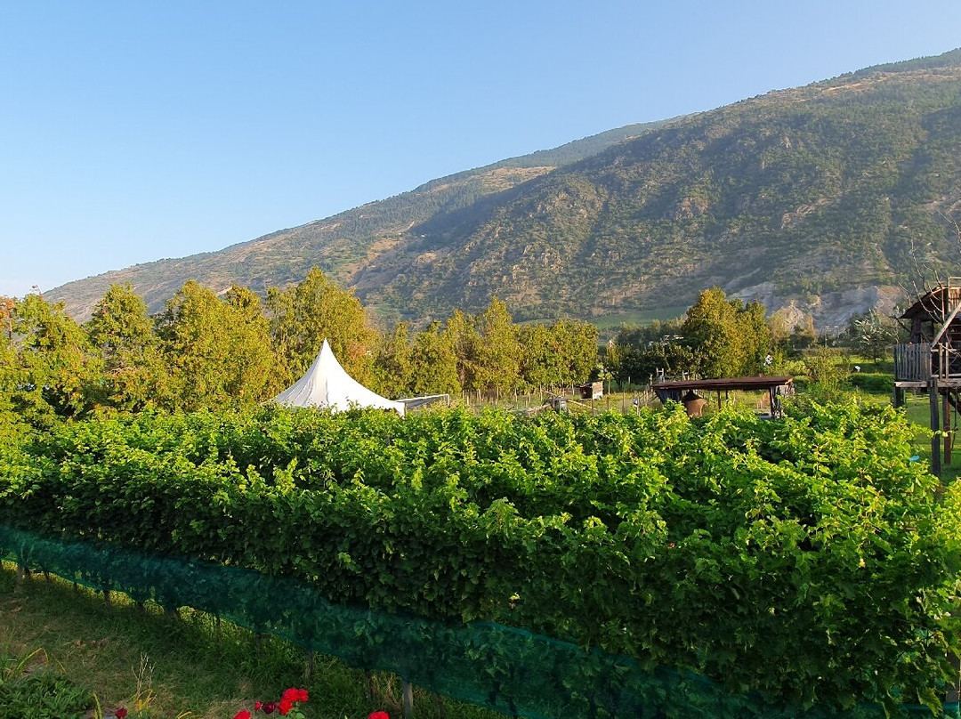 DIROSO Weinkellerei & Bed and Breakfast-Turtmann必去景点