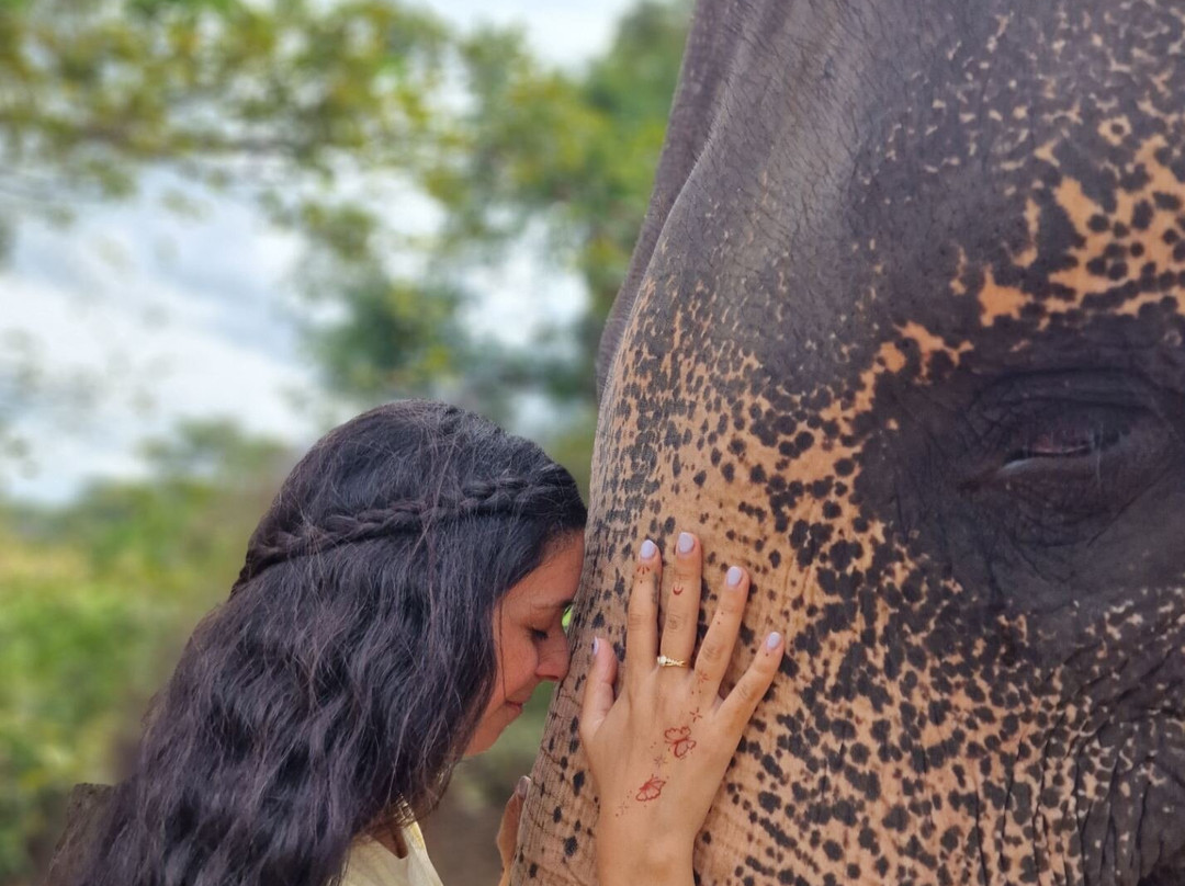 Elephant Bathing at Habarana-哈巴拉娜必去景点