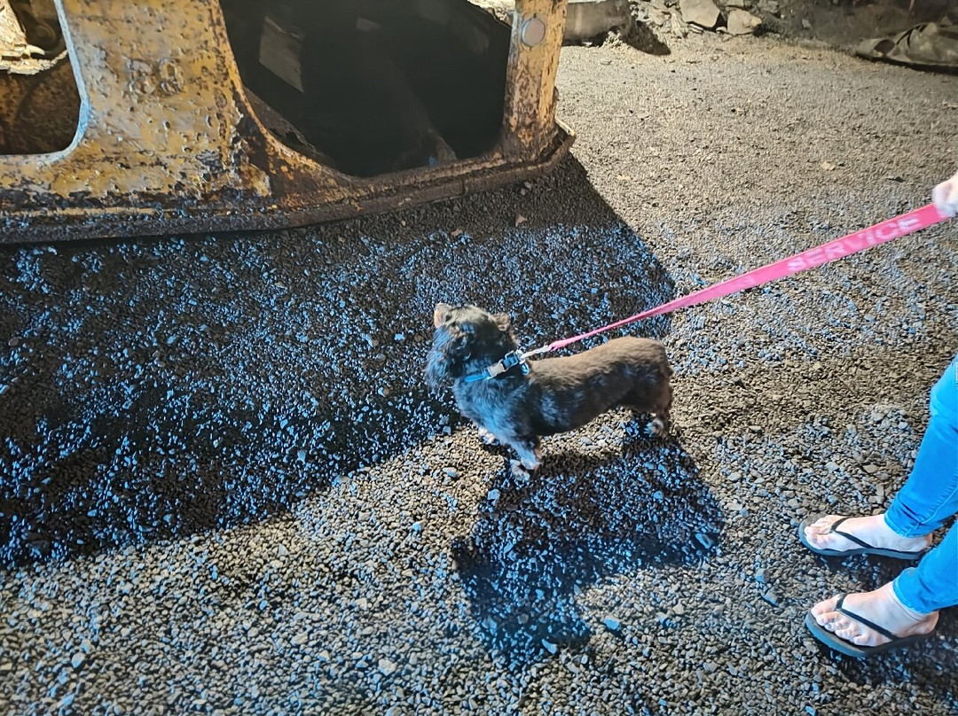 Pocahontas Exhibition Coal Mine-Pocahontas必去景点