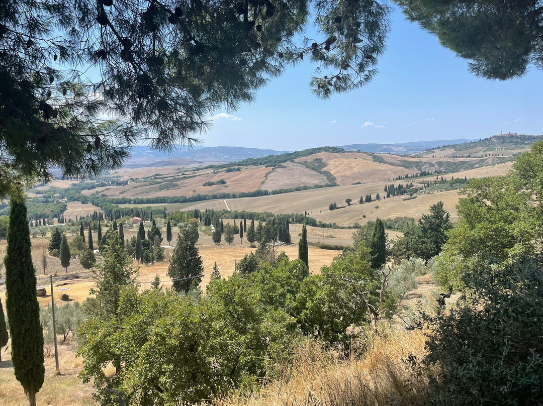 Podere Il Casale-皮恩扎必去景点