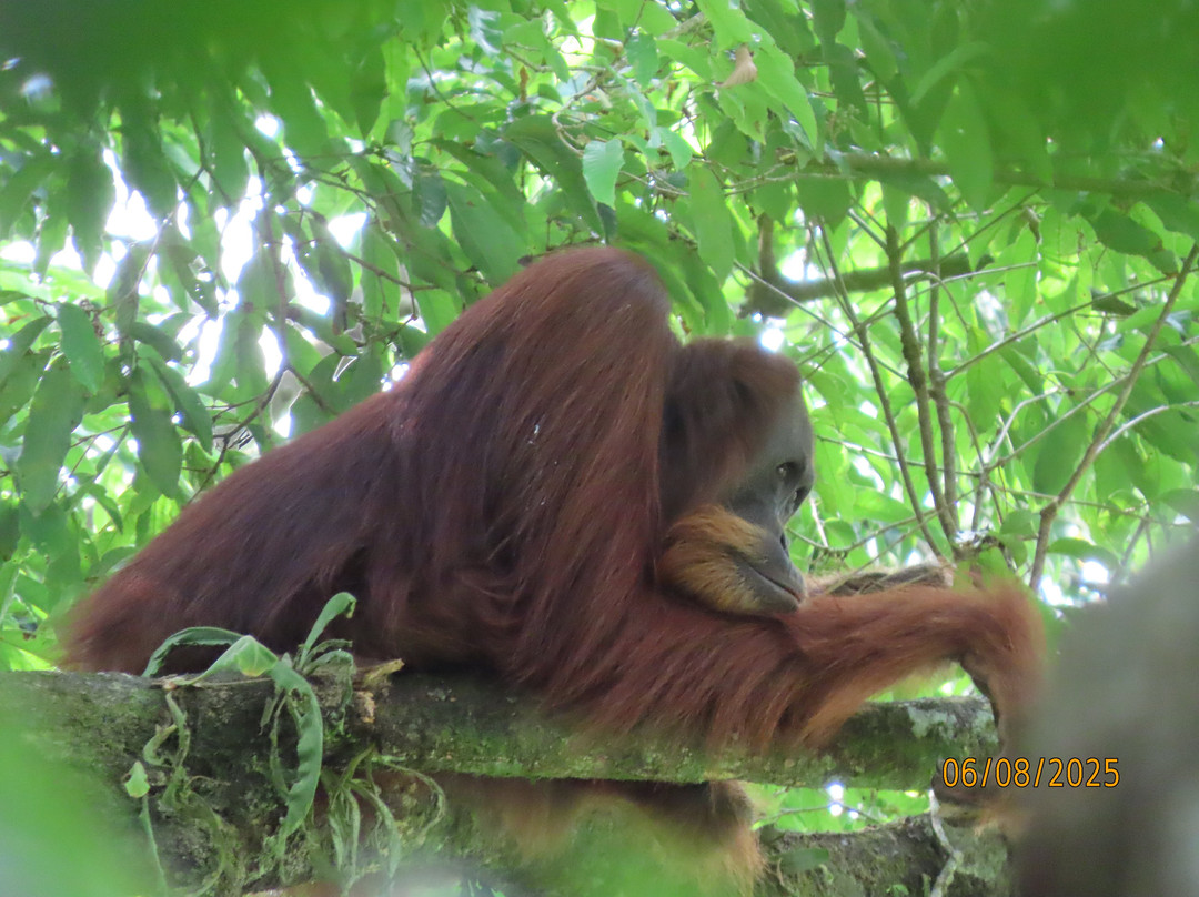 Wisma Cinta Alam主图