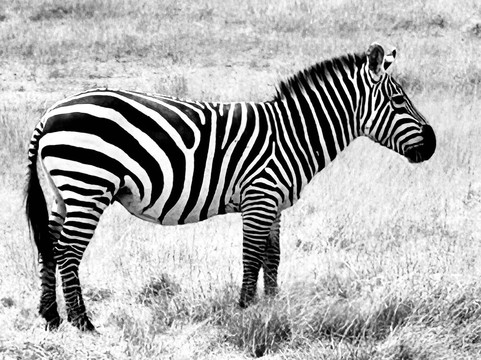 Great Horizon Trails-内罗毕必去景点