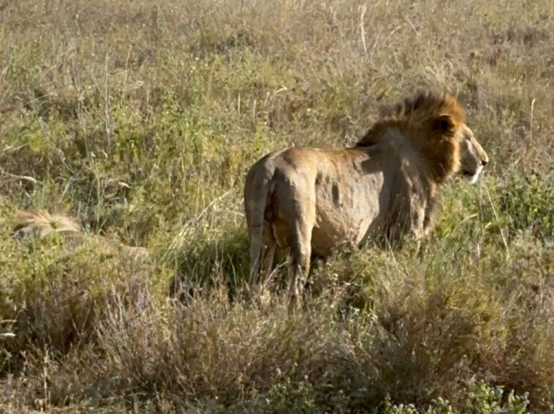Nafika Tours-莫西必去景点