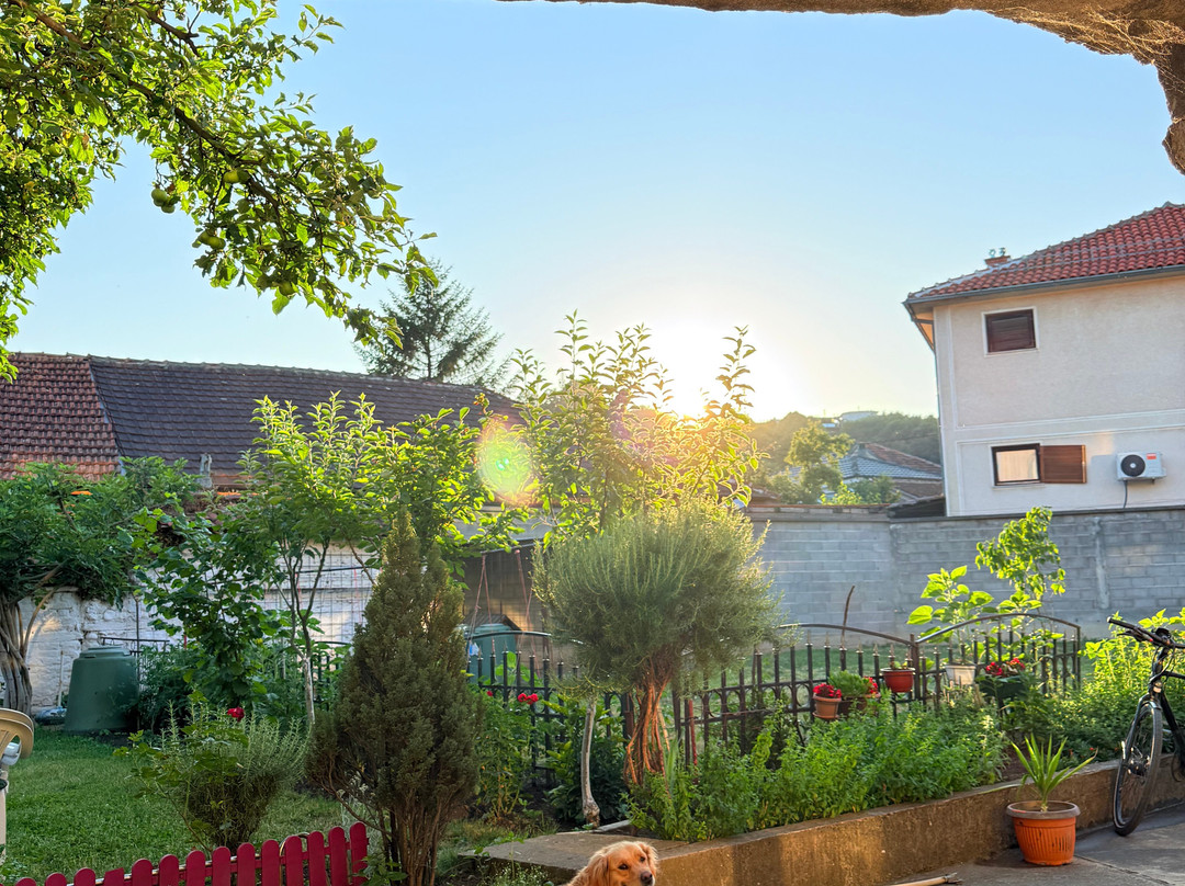 Looney House-Gjakova必去景点