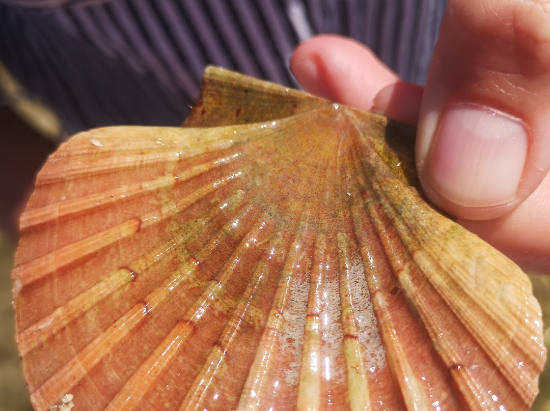 Armor Loisirs Nautiques-Binic必去景点