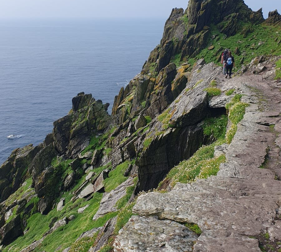 Skellig Falcon-Ballinskelligs必去景点