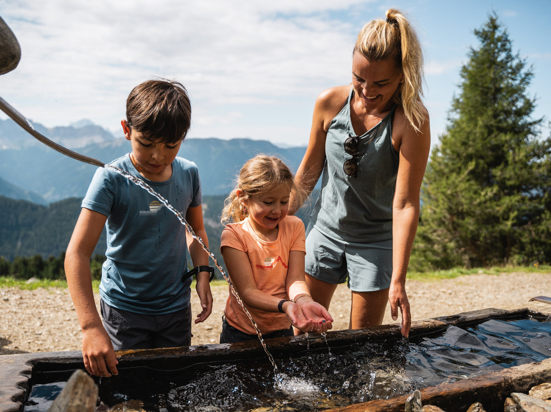 Woodywalk-布雷萨诺内必去景点