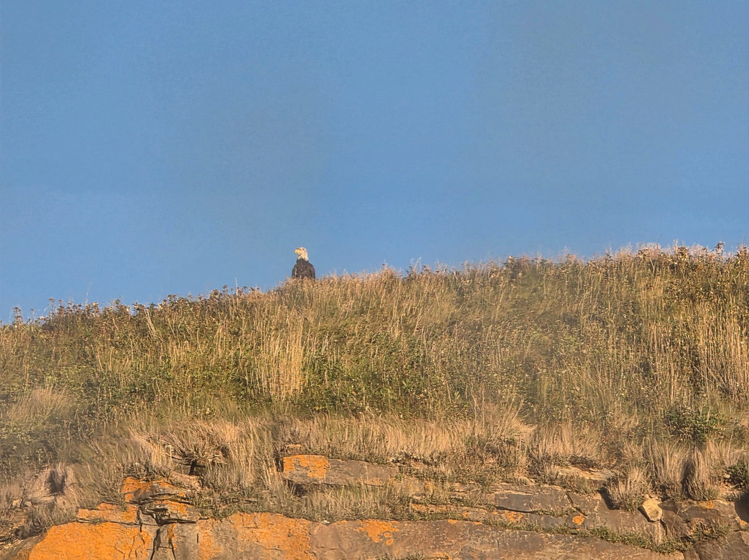 Bird Island Boat Tour-Big Bras d'Or必去景点