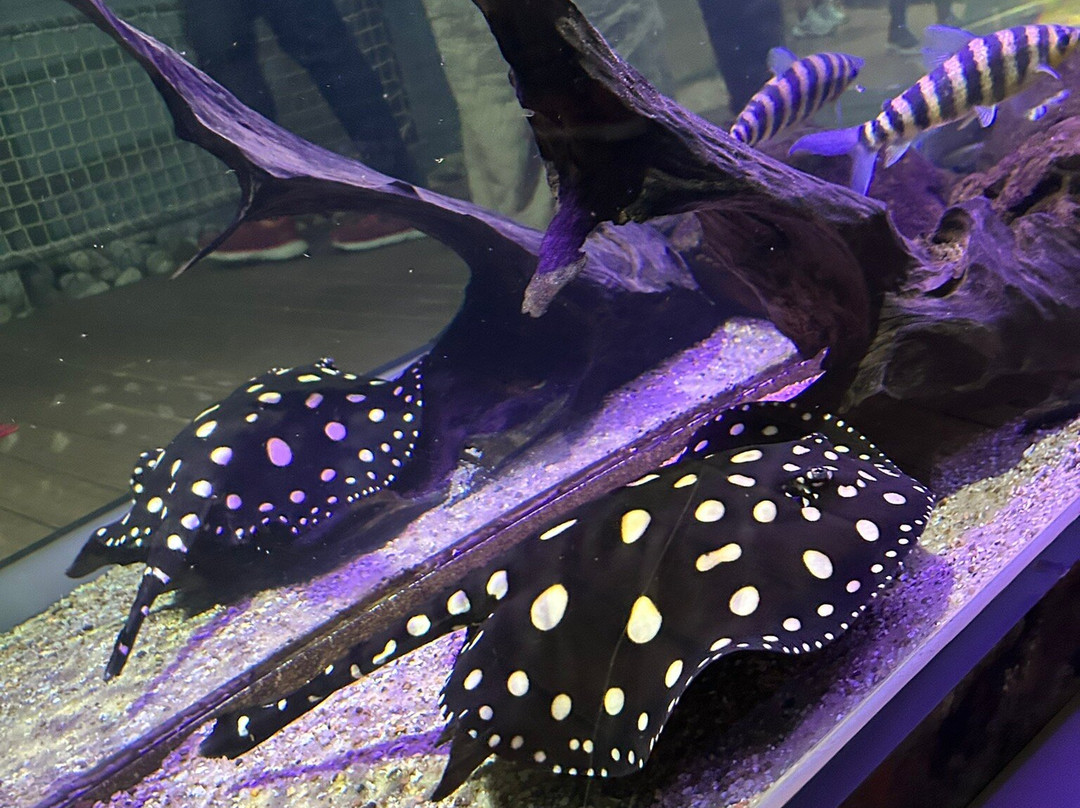 Aquarium du Limousin-利摩日必去景点