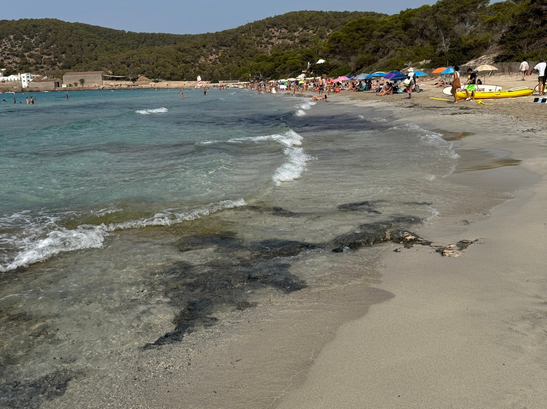 Playa de Ses Salines-Ses Salines必去景点