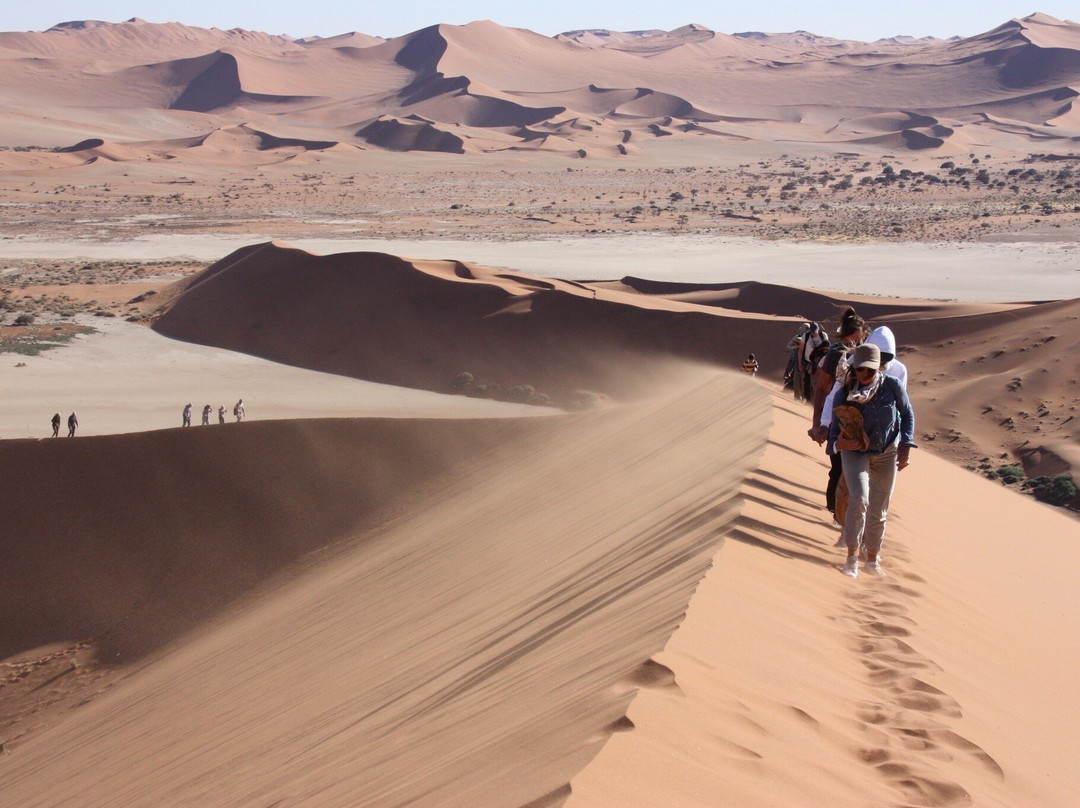 Wild Wind Safaris-温德和克必去景点