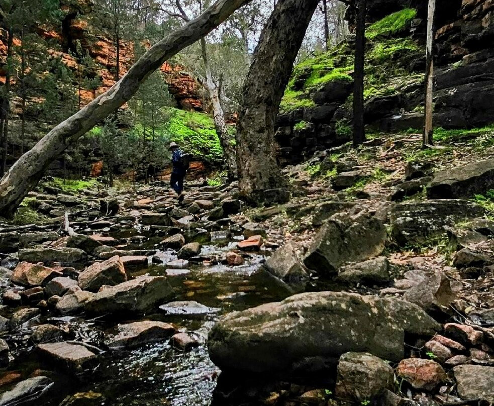 Alligator Gorge-Wilmington必去景点