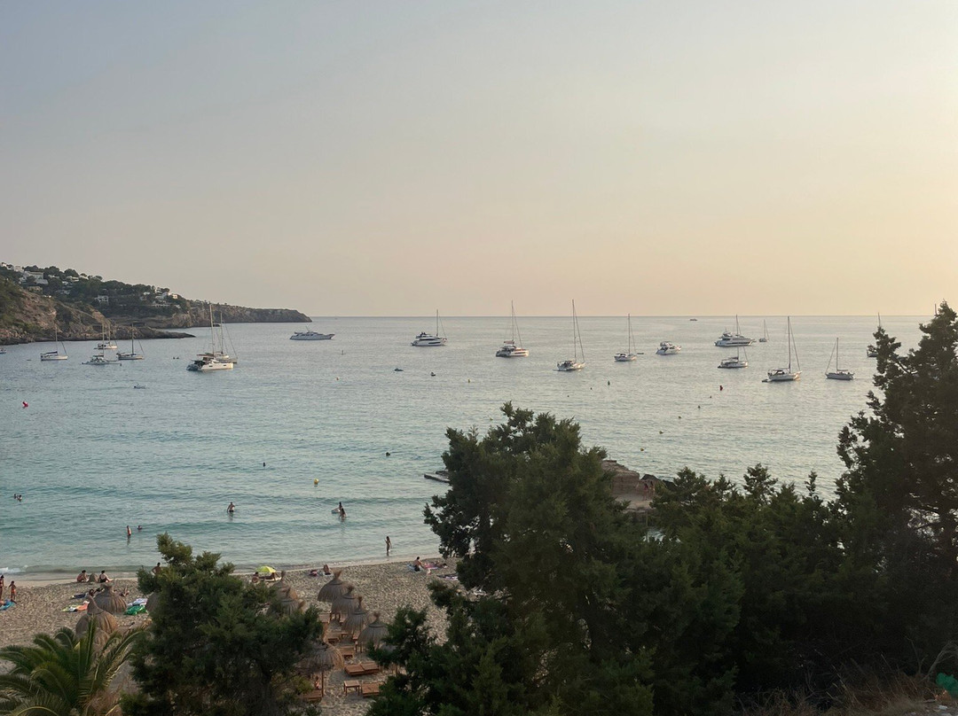 Cala Tarida-伊维萨城区必去景点