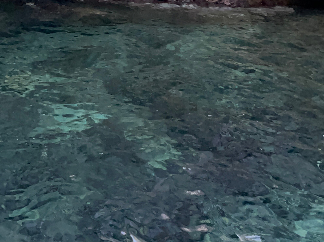 Dorino Gite in Barca-波利尼亚诺阿马雷必去景点