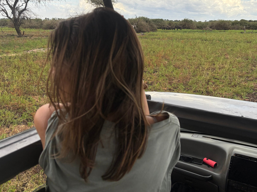 Asante Bibi Safaris And Tours-莫西必去景点