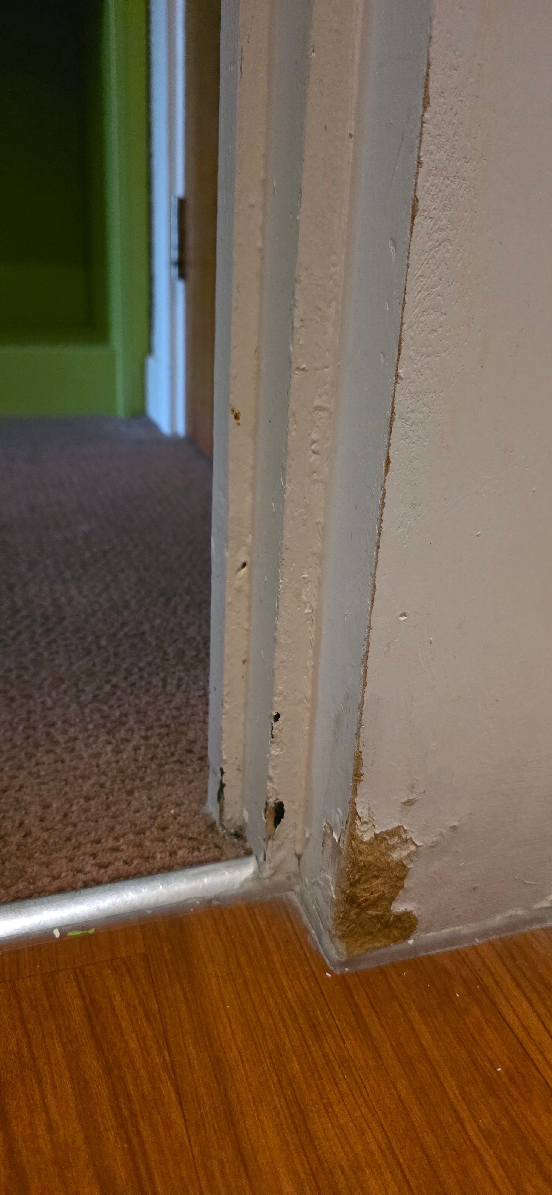 布拉德福钟楼酒店-客卧