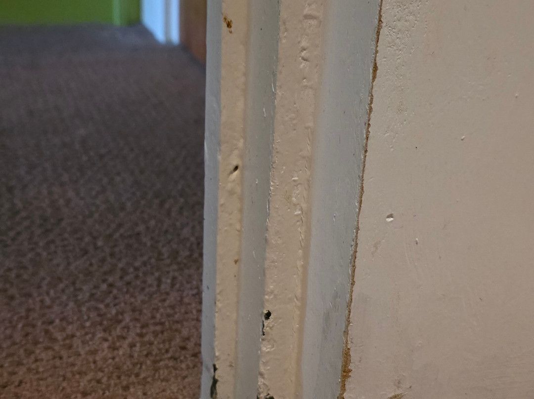 布拉德福钟楼酒店主图