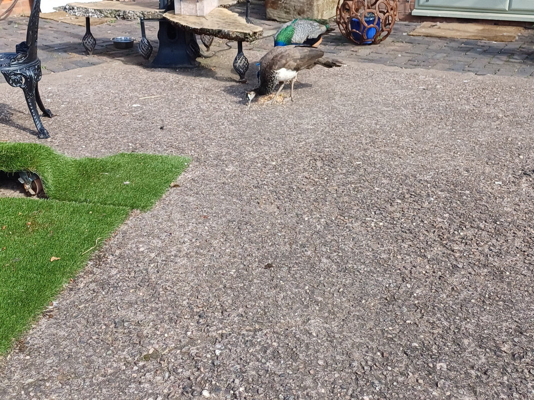 Amerton Farm-斯塔福德必去景点