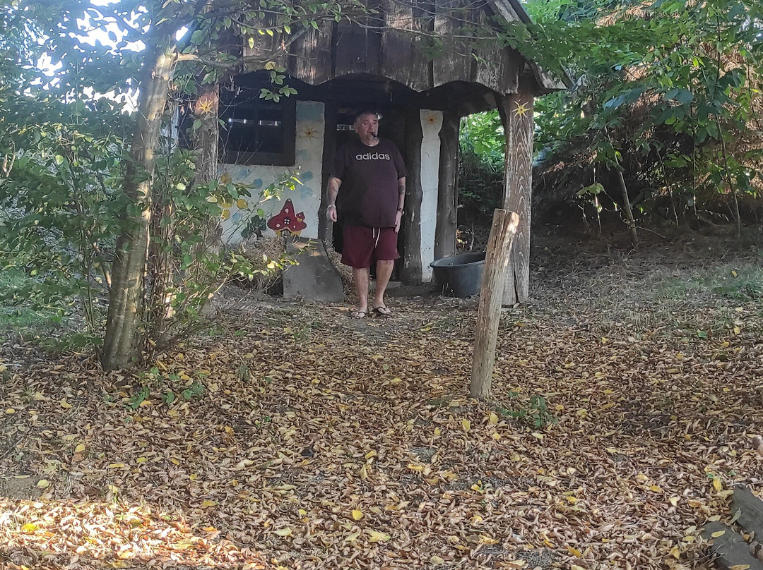 Stara vodenica主图