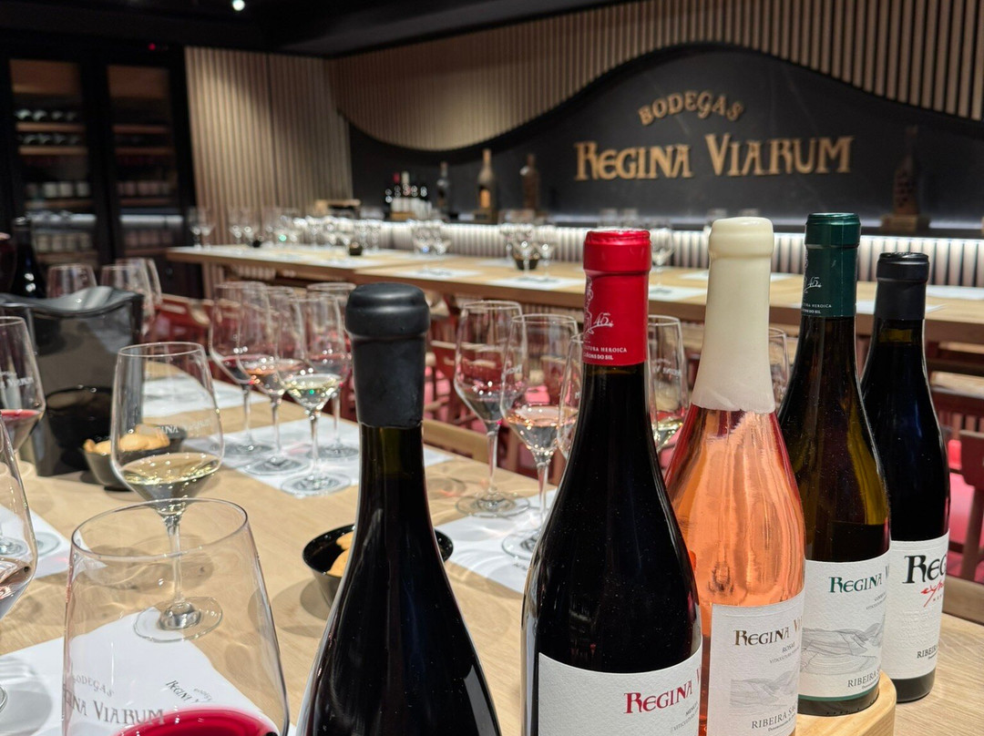 Bodegas Regina Viarum-Sober必去景点