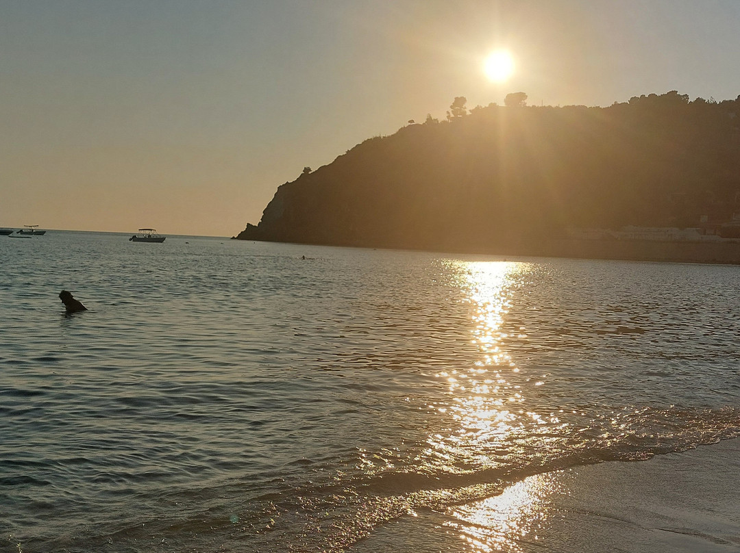 Hotel Villaggio Pineta Petto Bianco主图