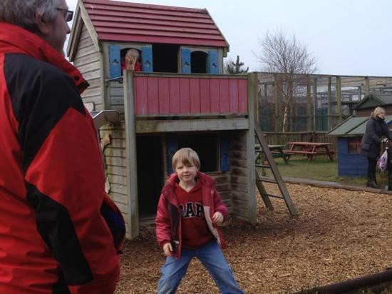 Borth Animalarium-Borth必去景点