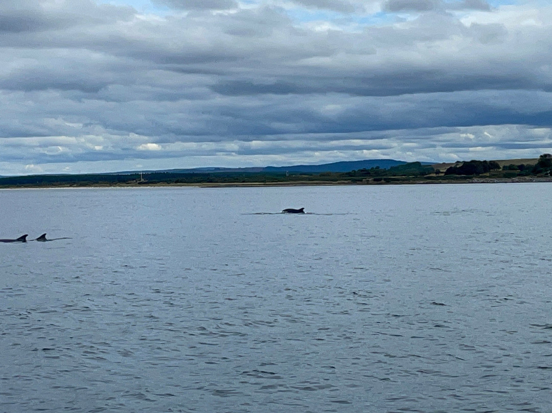 Dolphin Spirit Inverness-因弗内斯必去景点