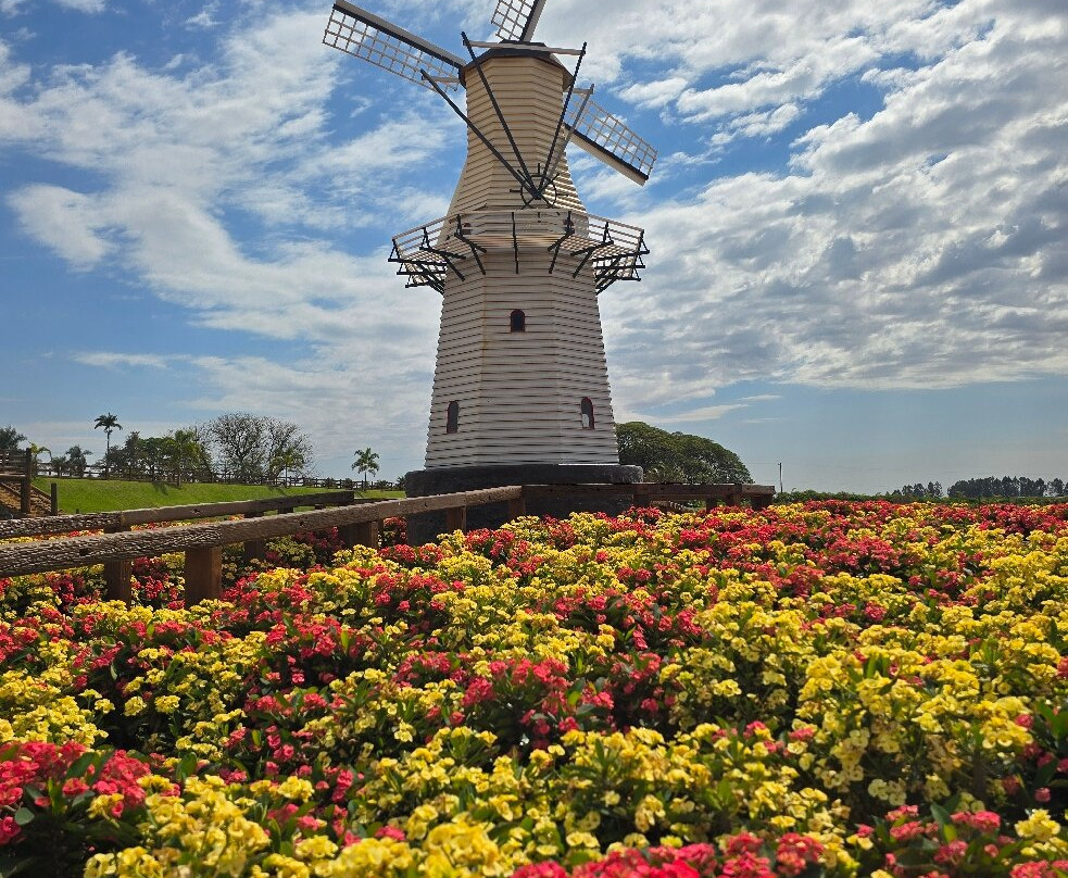 Macena Flores-Holambra必去景点