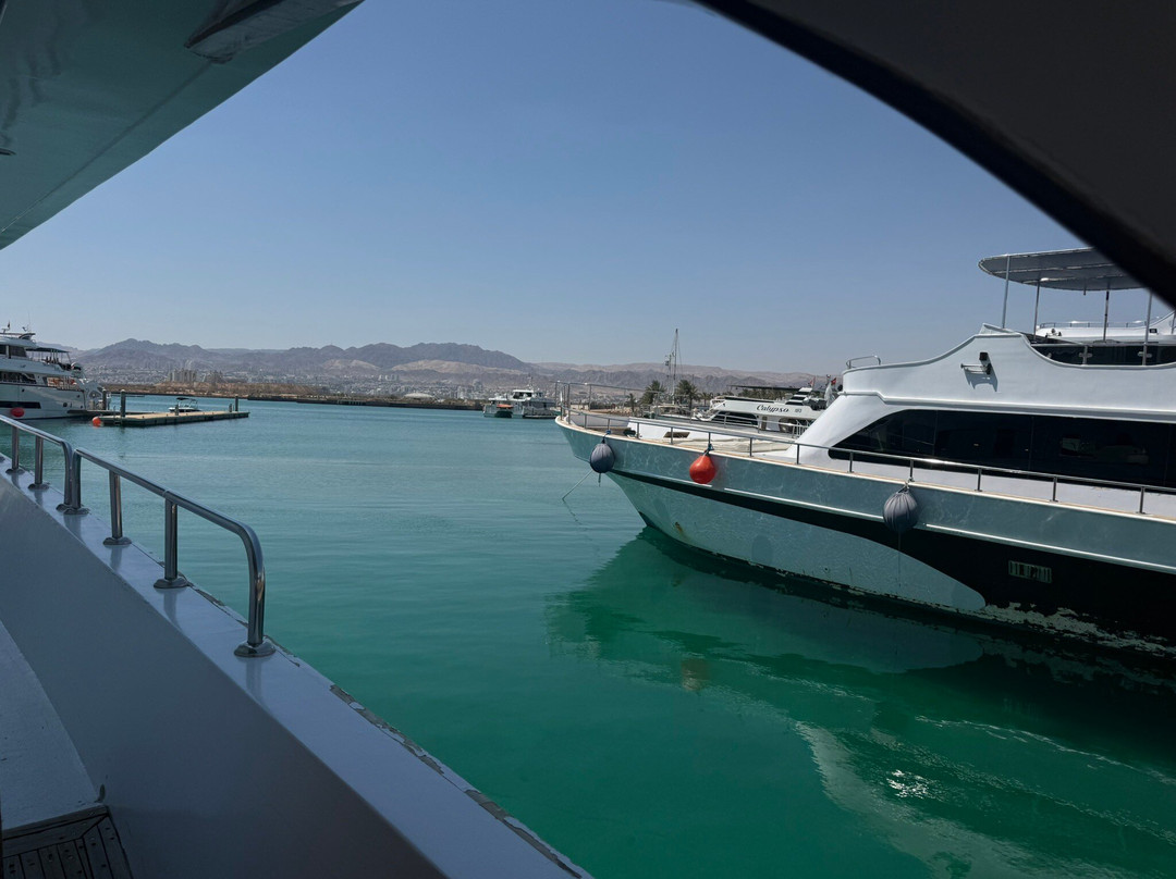 Al-Rayes Boat-亚喀巴必去景点