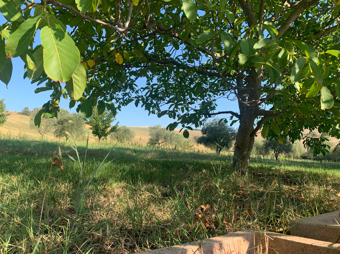 Appignano酒店住宿-Agriturismo Forestale Luti