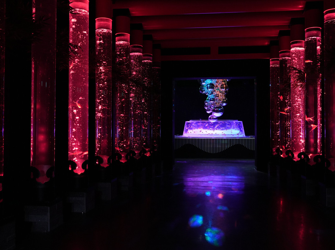 Art Aquarium-Ginza必去景点
