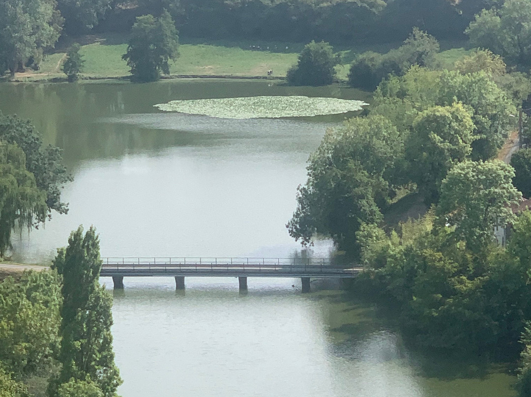 Tour Melusine-Vouvant必去景点