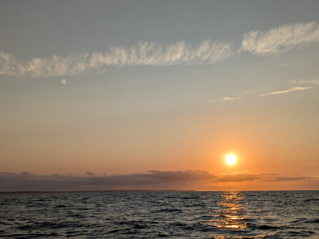 CROISIERES COTE DE BEAUTE-Meschers-sur-Gironde必去景点