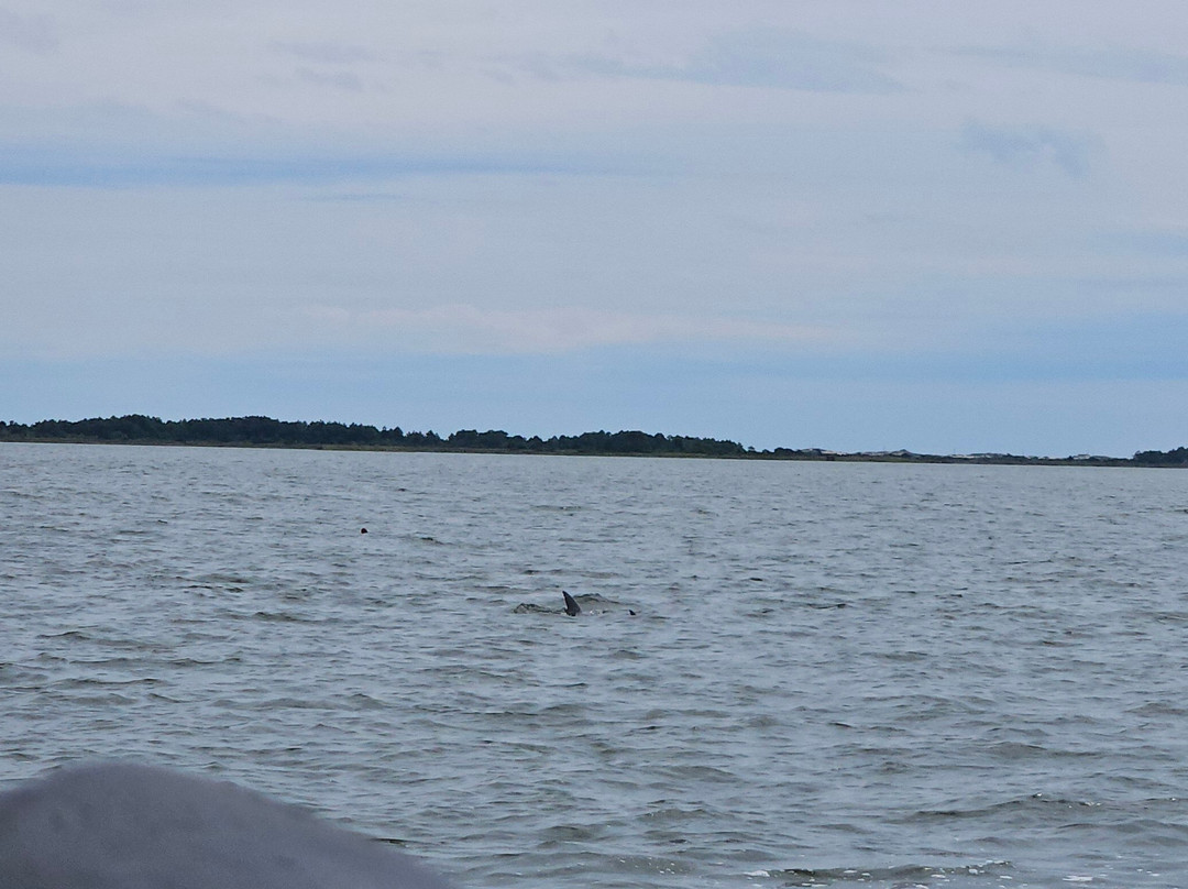 Outer Banks Adventures & Watersports-纳格斯海德必去景点
