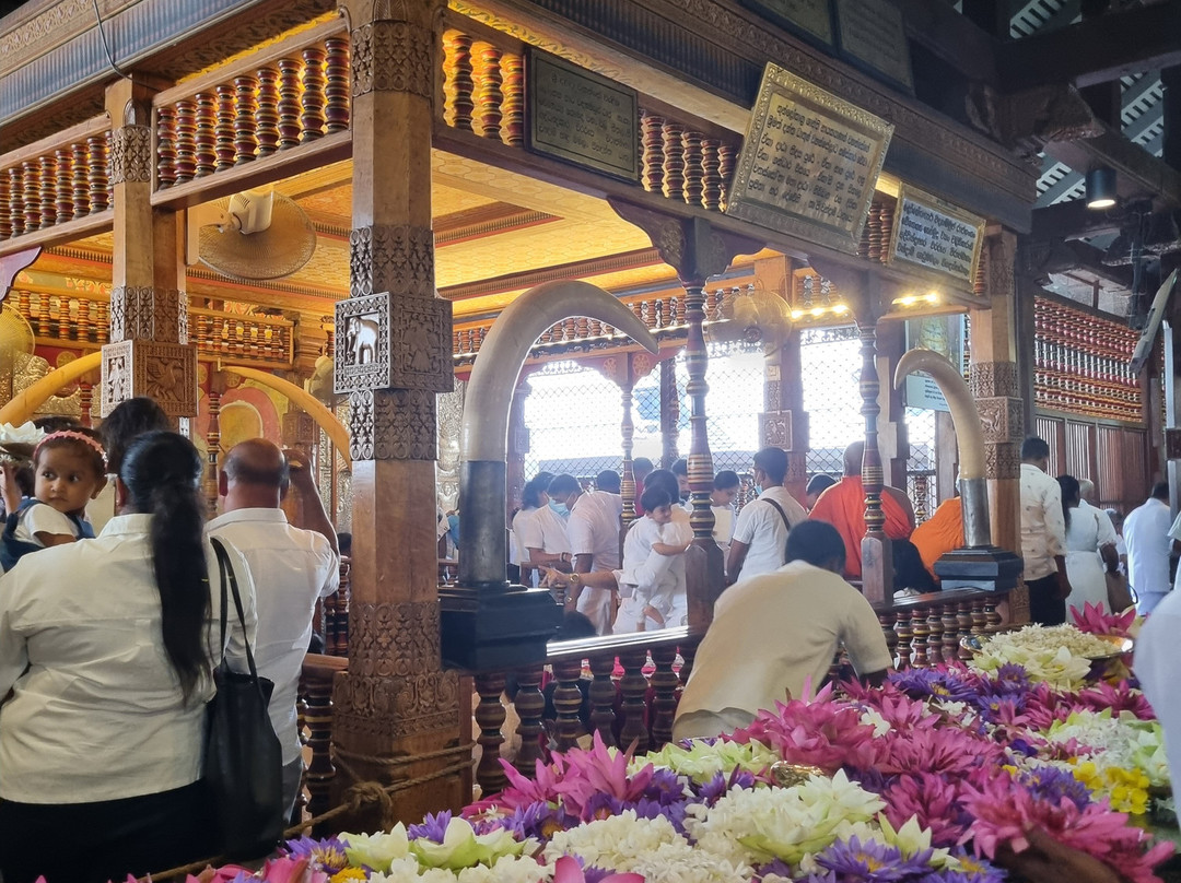 Amarina Holidays-阿努拉德普勒圣城必去景点