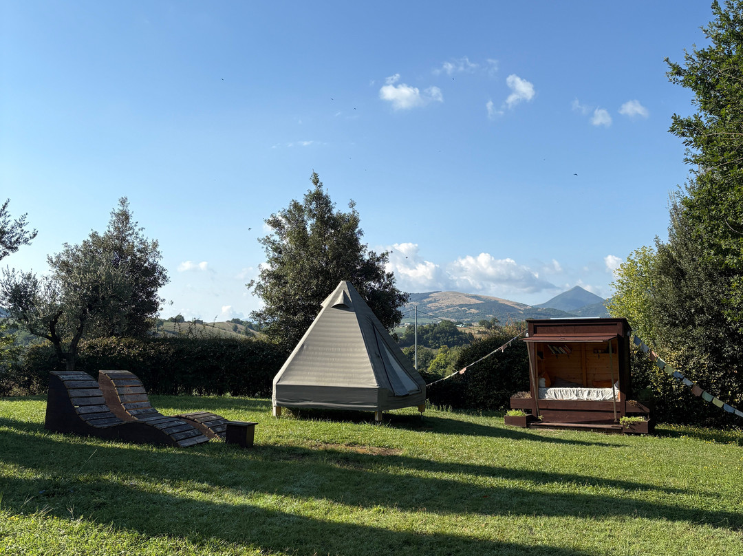 Country House Le Calvie主图