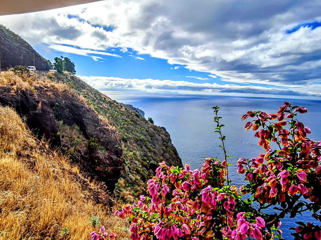 Carlos Jardim Taxi Tours-沙尔必去景点