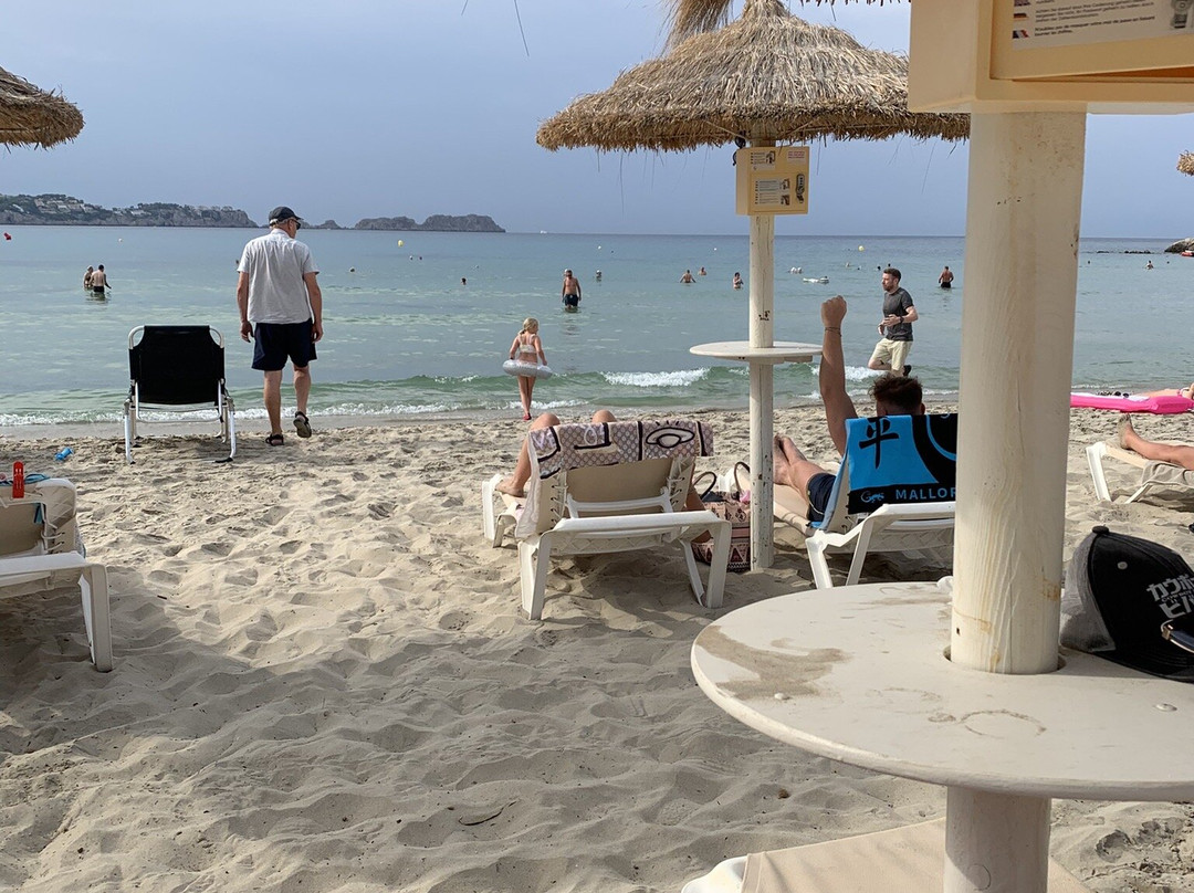 Playa Palmira-帕格拉必去景点