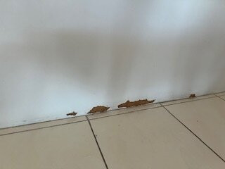 Chateau Royale Beach Resort主图