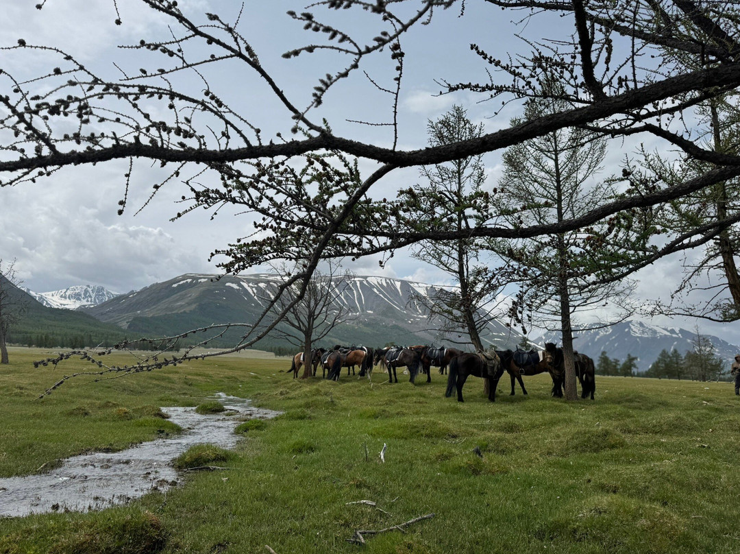 Kazakh Tour-Olgiy必去景点