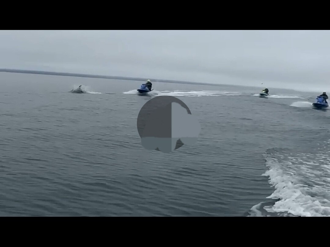 Fairytale At Sea-Olafsfjordur必去景点